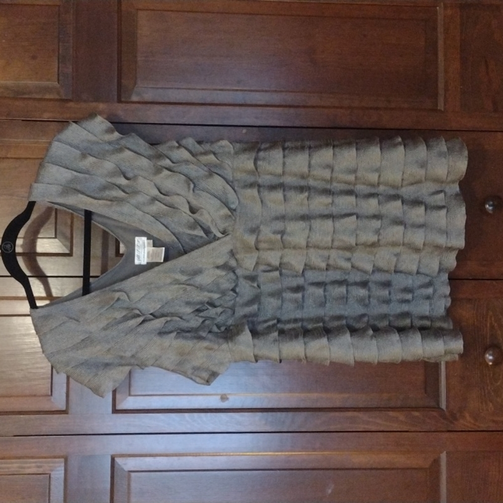 3X, bought at Dillard's, sliver grey, party special occasion event top
